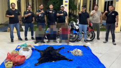 Polres Simalungun Ungkap Perdagangan Bagian Tubuh Satwa Dilindungi, Tiga Pelaku Diamankan