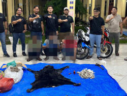 Polres Simalungun Ungkap Perdagangan Bagian Tubuh Satwa Dilindungi, Tiga Pelaku Diamankan
