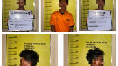 POLSEK BANGKO PUSAKO BERSAMA TIM BUSER POLRES ROHIL BERHASIL UNGKAP KASUS CURAS, PELAKU DITANGKAP DI AREAL PERKEBUNAN SAWIT