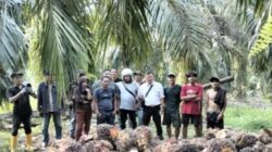 Sengketa Lahan 70 Hektar di Balai Jaya Memanas: Dua Pihak Klaim Punya Sertifikat Sama, Diduga Ada Penerbitan Surat Tanpa Dasar Hukum