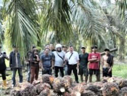 Sengketa Lahan 70 Hektar di Balai Jaya Memanas: Dua Pihak Klaim Punya Sertifikat Sama, Diduga Ada Penerbitan Surat Tanpa Dasar Hukum