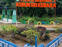 PTPN IV Regional I Kebun Sei Kebara Bantah Pemberitaan Kurang Akurat Sudah Terapkan SOP dan Ada Rencana Replanting