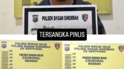 Gerebek Rumah di Tengah Kebun Sawit, Polsek Bagan Sinembah Amankan Pengedar Sabu, Sita 4,44 Gram Barang Bukti