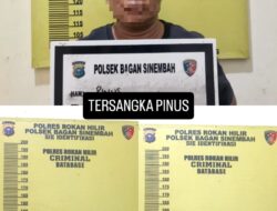 Gerebek Rumah di Tengah Kebun Sawit, Polsek Bagan Sinembah Amankan Pengedar Sabu, Sita 4,44 Gram Barang Bukti