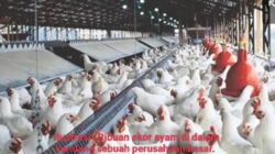 Disnakertrans Kepri Didesak, Kasus PHK Sepihak di PT. Semesta Mitra Sejahtera Terkatung-katung