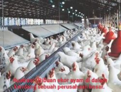 Disnakertrans Kepri Didesak, Kasus PHK Sepihak di PT. Semesta Mitra Sejahtera Terkatung-katung