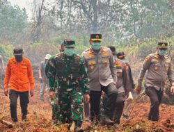 Karhutla di Kerumutan Ditangani Tim Gabungan, Pangdam XIX/Tuanku Tambusai Turun ke Lapangan