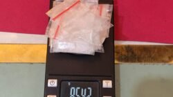 Polsek Tambusai Utara Tangkap Pengedar Sabu, Tujuh Paket Seberat 8,5 Gram Disita