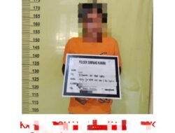 Buron 10 Bulan, Terduga Pelaku Pembunuhan Rohil Dibekuk di Tengah Kebun Sawit Jambi