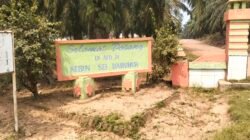 PTPN IV Regional I Bantah Tanaman Sawit Afdeling IV Sei Baruhur Untuk Perawatan Tetap Berjalan Sesuai SOP