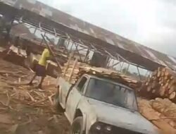 KAYU RIBUAN BATANG MENUMPUK DI SAWMILL PEMATANG SIANTAR: IZIN GELAP, DUGAAN PERLINDUNGAN OKNUM MENGUAT