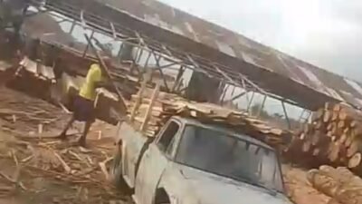 KAYU RIBUAN BATANG MENUMPUK DI SAWMILL PEMATANG SIANTAR: IZIN GELAP, DUGAAN PERLINDUNGAN OKNUM MENGUAT
