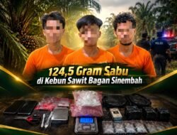 Polsek Bagan Sinembah Ungkap Peredaran 124,5 Gram Sabu di Areal Kebun Sawit, Tiga Orang Diamankan